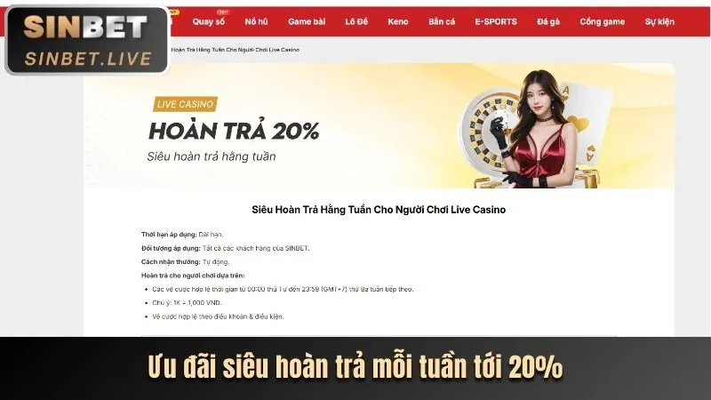 Hoàn trả hàng ngày 8xbet